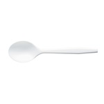 Premium Series compostable  CPLA soup spoon