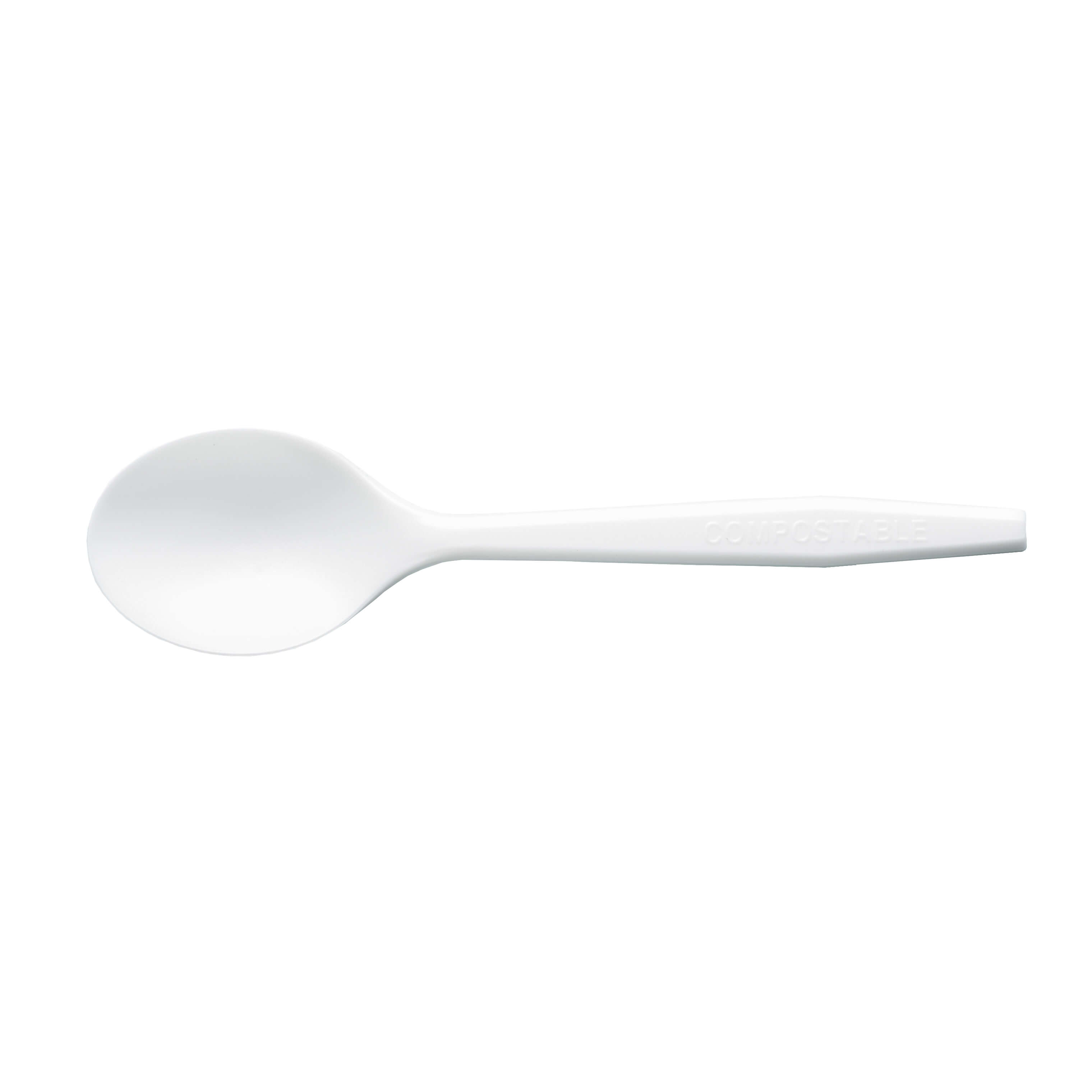 Premium Series CPLA soup spoon